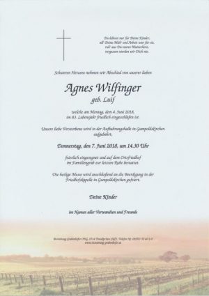 Portrait von WILFINGER Agnes